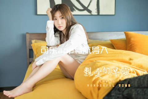 可乐app导航导入